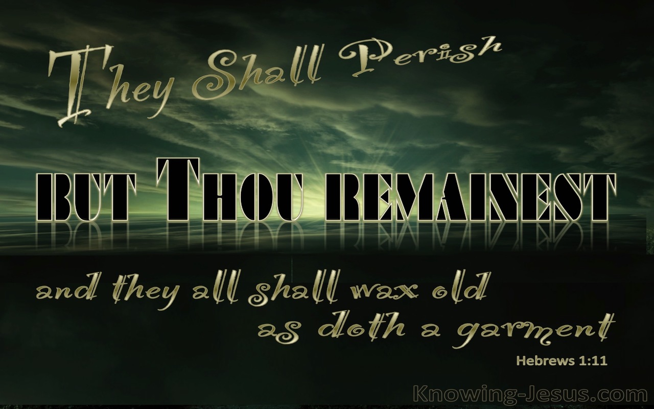 Hebrews 1:11 They Shall Perish But You Remain (black)